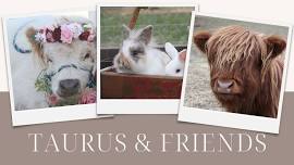 Tea Party with Taurus & Friends