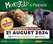 Makojalo and Friends' Auction