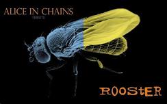 ALICE IN CHAINS TRIBUTE ROOSTER