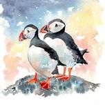 Puffin workshop  — Charlotte Thompson Art