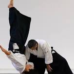 Stage d'été - Michel Erb Shihan, 6.Dan Aikikai