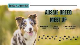 Aussie Breed Meet Up