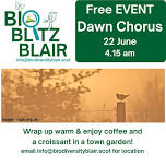 Dawn Chorus