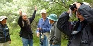 American Falls Birding Festival