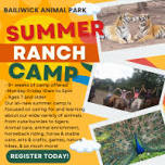 Summer Camp at Bailiwick