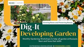 Dig-It Developing Gardens Workshop: Growing Roses