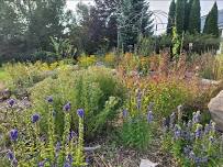 Garden Walk and Native Plant Sale