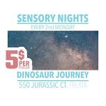 Sensory Night