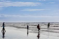 Sea Rim State Park -Adopt a Beach