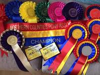 NCPA Diamond Jubilee Pony of the Year Show