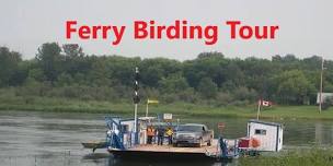 Ferry Birding Tour - Saskatoon