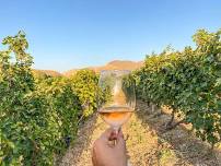 A 7 days Wine Tour Experience in Armenia