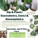 Sip & Plant! Succulents, Cacti & Houseplants