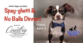 Spay-ghetti and No Balls Dinner