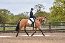 Unaffiliated Dressage