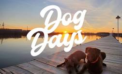 Dog Days at Pier450