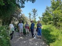 EASY WALK & CAKE/LUNCH FAREHAM DOG FRIENDLY 4 miles