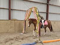 1 Day Horsemanship Clinic - Taramoa/Invercargill