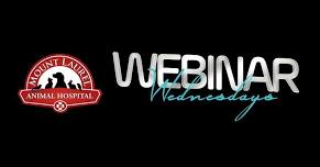 Webinar Wednesday: Are Those Lymph Nodes Enlarged or Are You Just Happy to See Me?