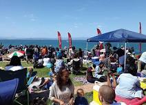 Hermanus Whale Festival