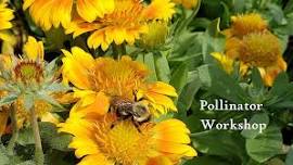 Pollinator Workshop