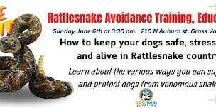 Rattlesnake Avoidance Training, Education