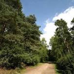 Wellbeing Walk at Irthlingborough Library