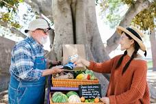 Manitou Springs Farmers Market at Memorial Park