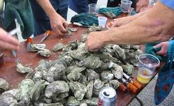 Our 4th Charleston Oyster Roast