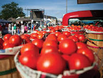 40th Annual Jacksonville Tomato Fest