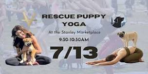 Rescue Puppy Yoga @ Stanley Marketplace!