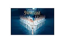 World Ballet Company: Swan Lake