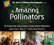 AMAZING POLLINATORS