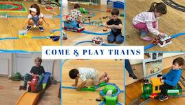 Trainmaster Woolsery - Village hall