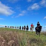 INTRODUCTION TO FOXHUNTING CLINIC