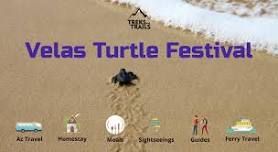 Velas Turtle Festival from Pune - Ac Bus