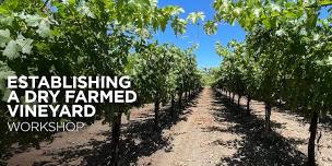 Establishing a Dry Farmed Vineyard Workshop (Paso Robles)