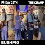 Bushpig