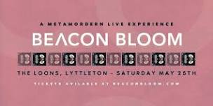 Beacon Bloom - A Metamodern Live Experience @ The Loons