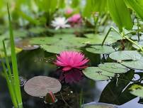 Yoga along the Clarion River (weather permitting)