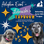 Adoption Event at Lebowski’s Taproom