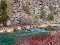 Hike the river at Eagle Crest ! ( dog- friendly )