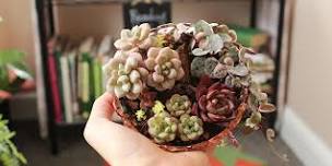 Success with Succulents: Deluxe Dish Garden