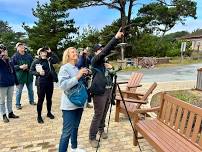 Beginning Birding at Asilomar