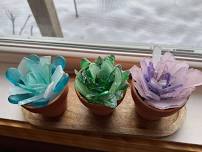 Glass Succulents Class