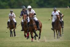 Saturday Polo at La Bourgogne Club de Polo - Langdon Road 14 Goal