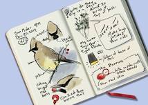 Observing Nature/Keeping a Nature Journal- CEW (Continuing Education Workshop)