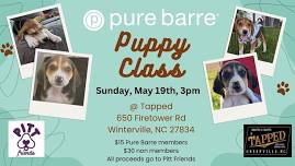 Pure Barre Puppy Class