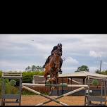 Bowes Manor Equestrian Centre Summer Showjumping League