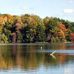 Saturday Morning Birding Series